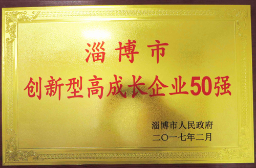 2017年創新型高成（chéng）長（zhǎng）企業50強
